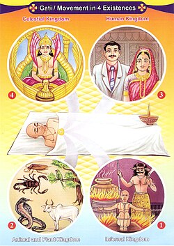 Símbolo do Dharma ou Roda da Vida