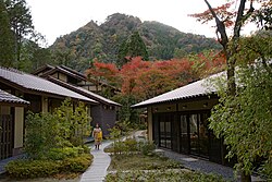 Detalhe de portas corrediças e tatame em um ryokan