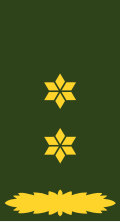 Insígnia de Tenente-coronel do Exército Real dos Países Baixos